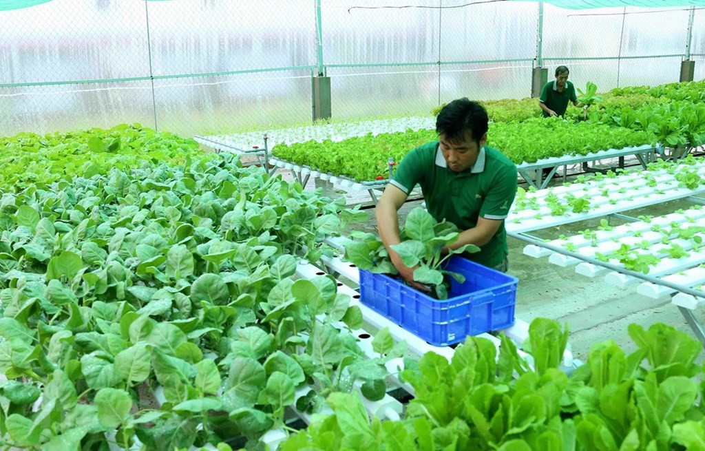 Quỹ hỗ trợ phát triển hợp tác xã hoạt động không vì lợi nhuận